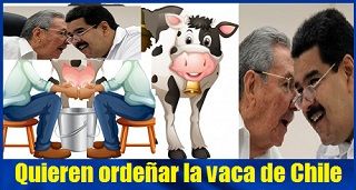 Cuba y Venezuela quieren ordeñar la vaca próspera de Chile