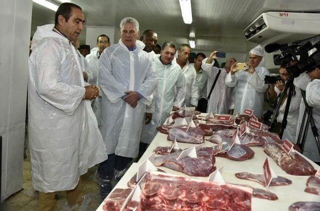 Diaz Canel combinado carnico observa los 132 cortes de carne