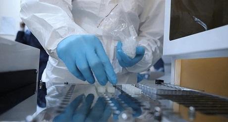 anti malarial drug Chloroquine and Hydroxychloroquine cure coronavirrus