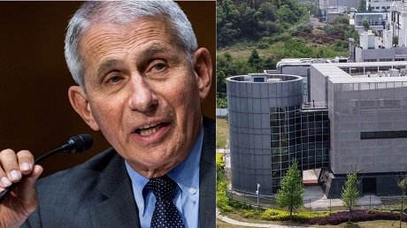faucigate encubrimiento virus de china