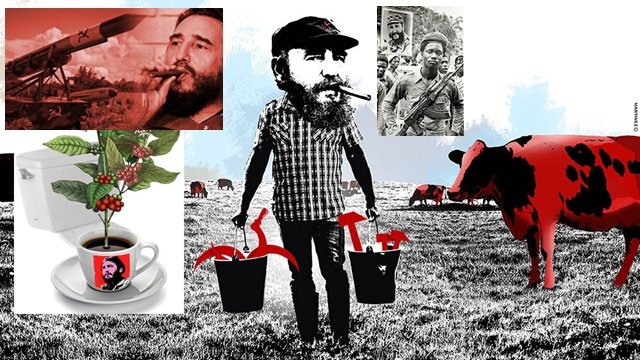 Fidel Castro ni valiente ni inteligente
