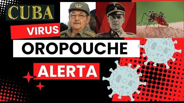 cuba procede con la enfermedad del oropouche al modo de mengele