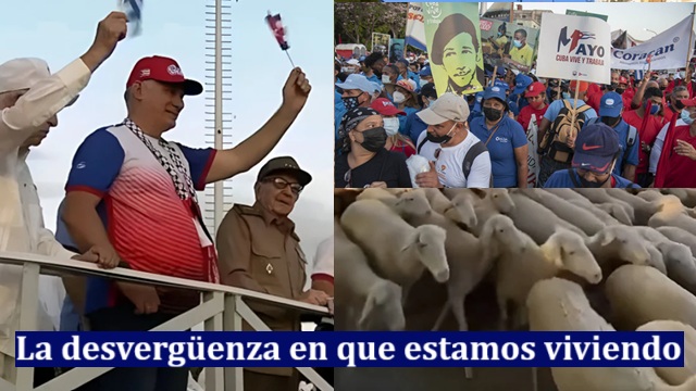 La desverguenza en que estamos viviendo: carneros y traidores
