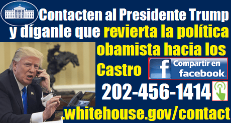 Contact Donald Trump