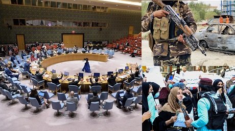 ¿Por qué la ONU, la UE y Estados Unidos ayudan a los talibanes?