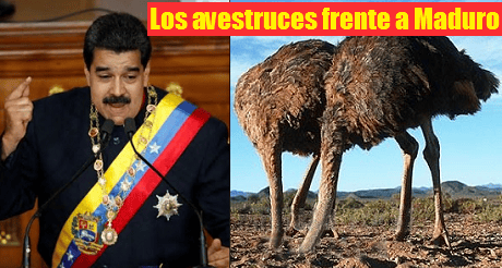 Los avestruces frente a Maduro