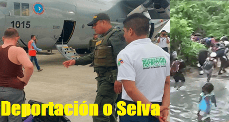 deportacion o selva