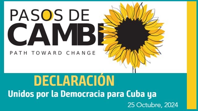 pasos de camdio declaración