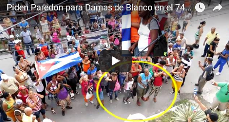 piden Paredon a Damas de Blanco