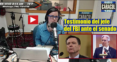 testimonio jefe FBI 238x127